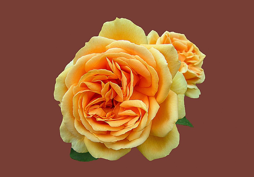 Bründlkirche in Bad Leonfelden: Dringende Sanierung nach 40 Jahren