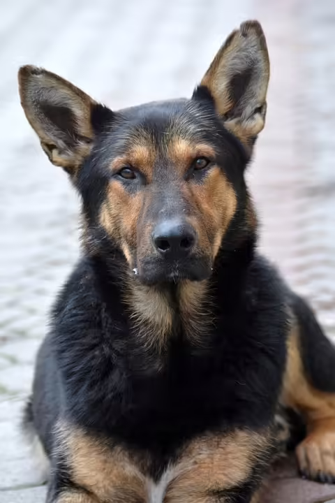 Brunnenmarkt bleibt Wiens Favorit: Hanzl setzt auf Vielfalt und Wachstum