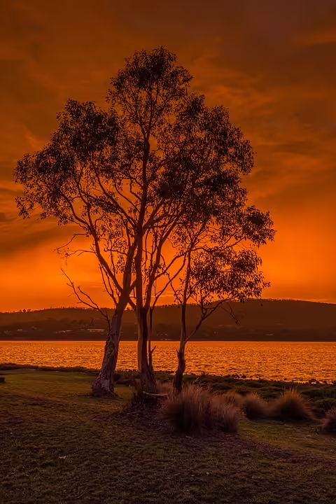 Burgenländer Lehrlinge zeigen ihr Können beim Bundeswettbewerb in Innsbruck