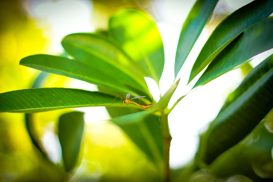 Burgenland im Fokus: Budget 2025 und Neues aus der Trampolinwelt