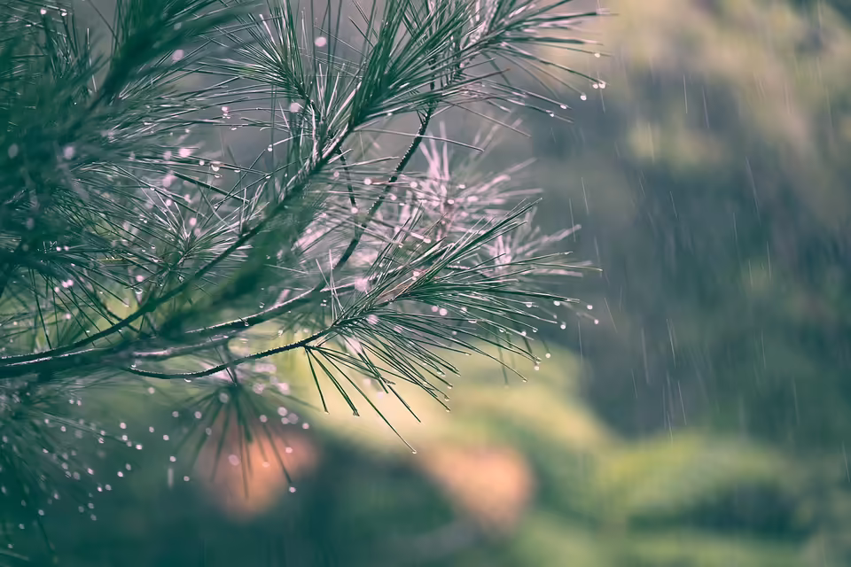 Burgenland zeigt: So einfach können pflegende Angehörige unterstützt werden
