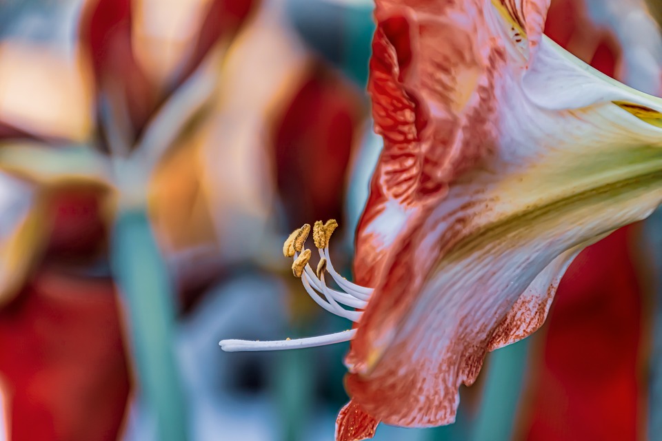 Burgenlands Sportverband startet Initiative für eine lebendige Sportzukunft