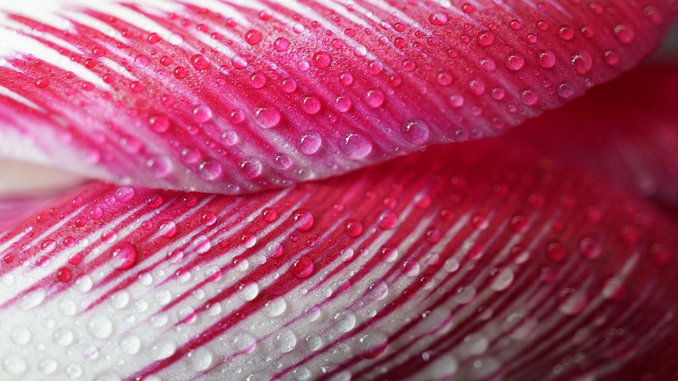 Chaos auf Wiens Autobahnen: Lkw-Brand und Auffahrunfall verursachen Staus