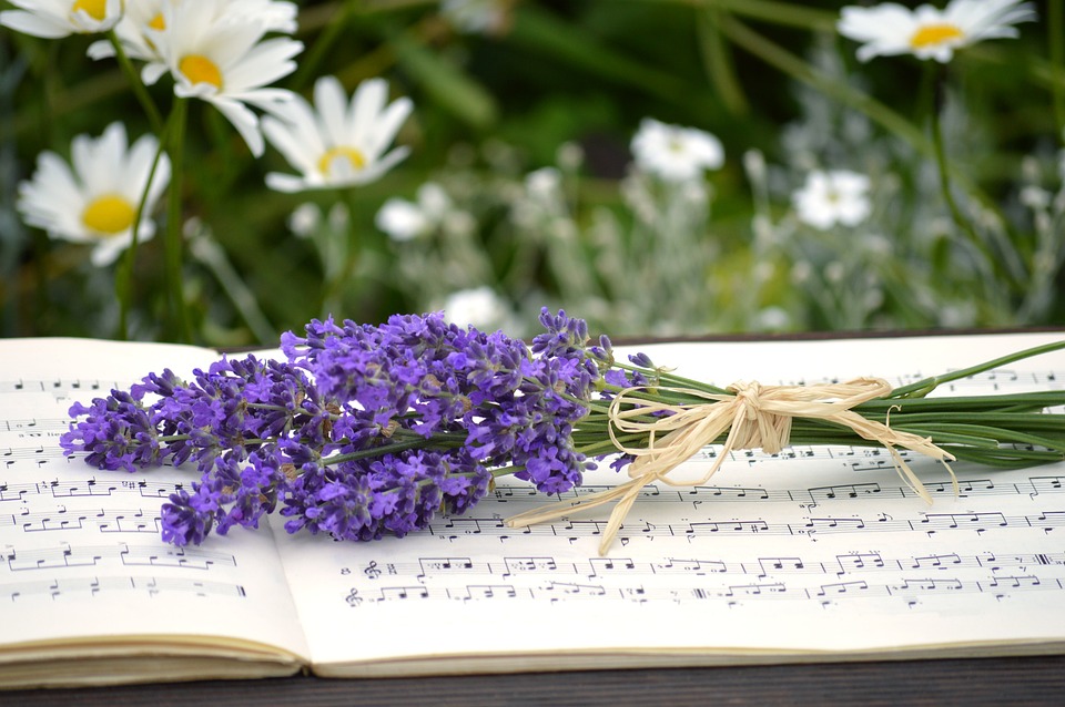 Chor 1863 St. Veit/Glan verzaubert mit Konzert im Rathaushof