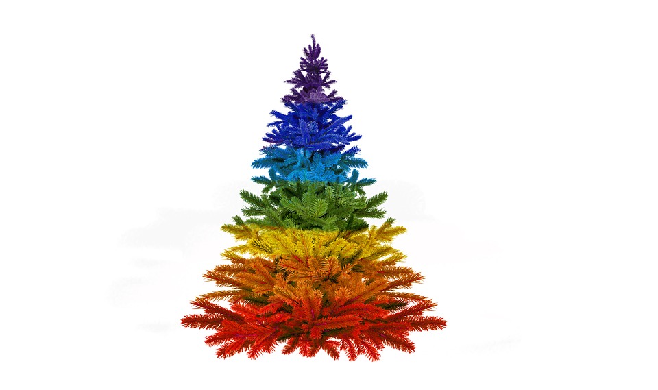 Christbaum aus Katschtal erhellt Mirabellplatz in Salzburg