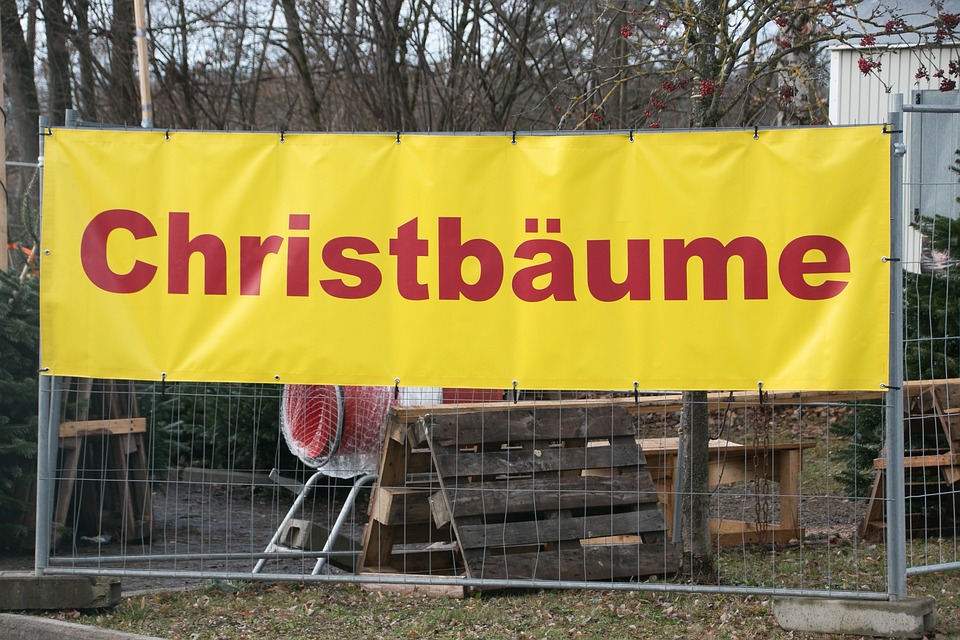Christbaumverkauf im Burgenland: Einfamilientradition und Umweltbewusstsein