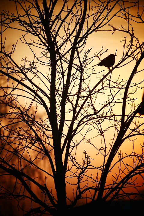 Christbaumvernissage in Traun: Kunst für den guten Zweck