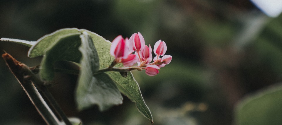 Christine Teichmanns Kabarett: Pflegekräfte im Fokus der Satire