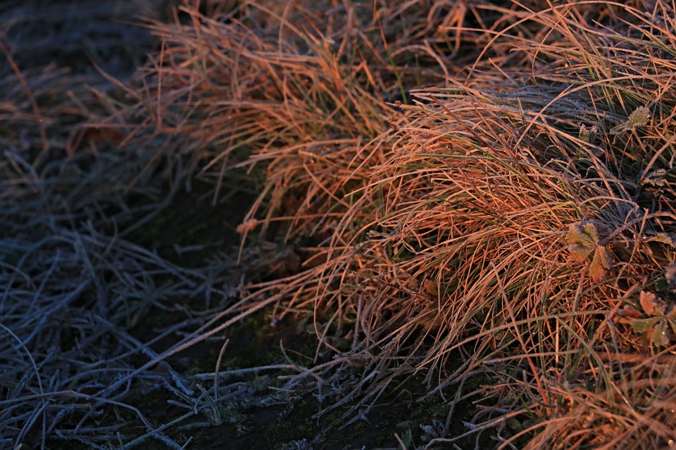 Coca-Cola-Weihnachtsmann ist am 27. November im Maximarkt Ried!