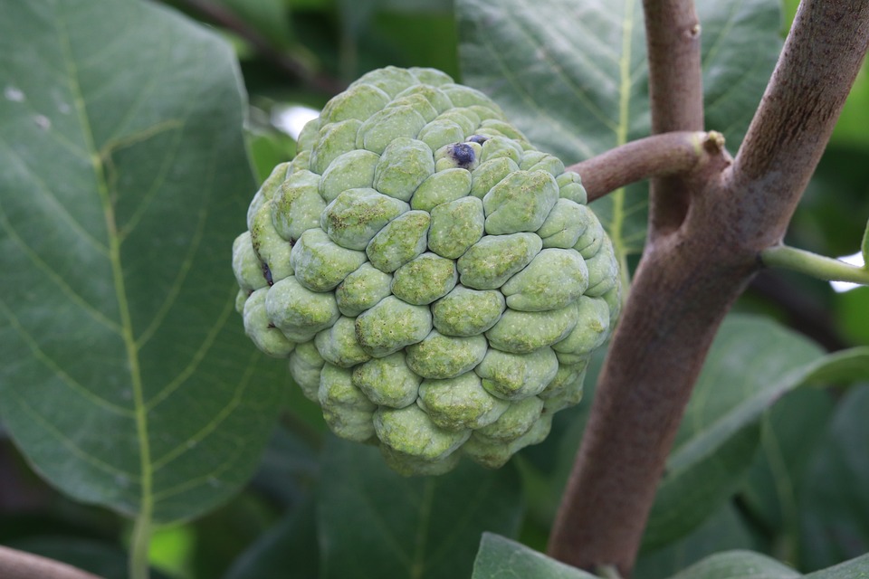 DJ Bobo unterstützt den RTL-Spendenmarathon für Kleine Helden