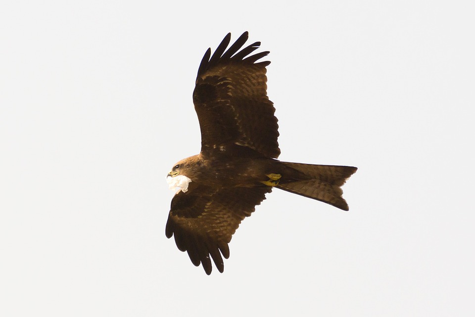 Dachstuhlbrand in Langental: Feuerwehren retten Wohnhaus und Bewohner