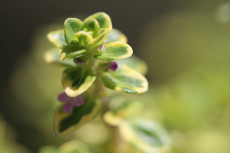 Das Ende von Fayble: Amira Aly verlässt Beauty-Unternehmen