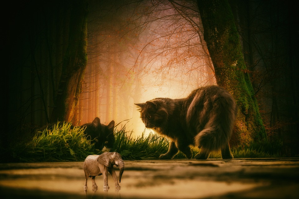 Das geheimnisvolle Handwerk: Krampusmasken aus Völkendorf