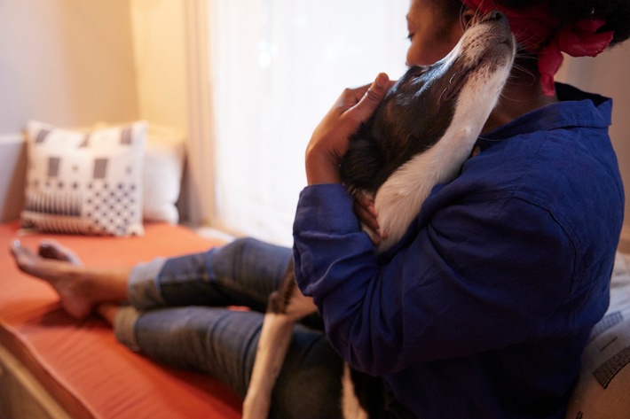 Dein Hund zu Weihnachten: Was er wirklich will und braucht!