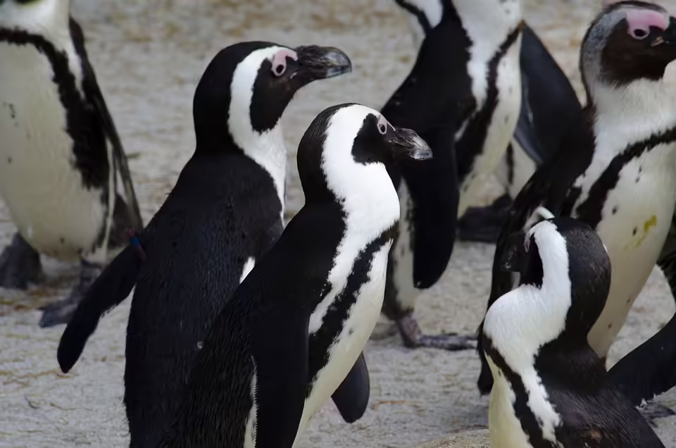 Delek Group: Langfristige Anlagestrategien und Dividendenerfolge im Fokus