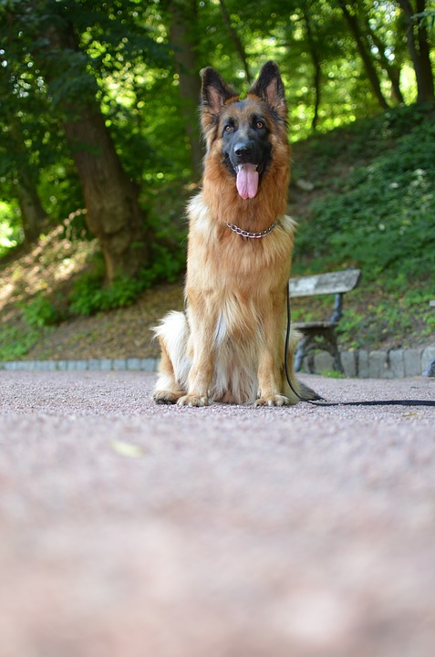 Deutscher Hotelkongress 2025: Innovative Gastronomie für lokale Hotels