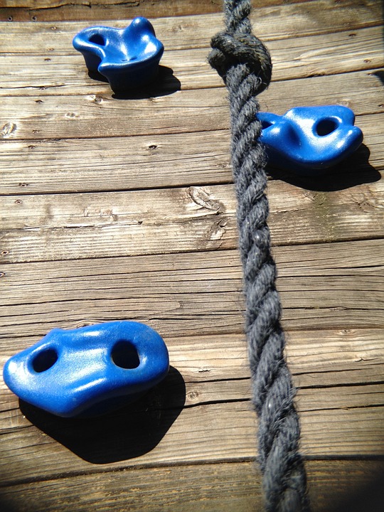 Die Herausforderung von Pneumonien bei immunsupprimierten Patient:innen