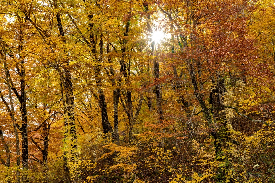 Die Hollenegger Schlossteifl: Neueste Krampusgruppe begeistert die Region