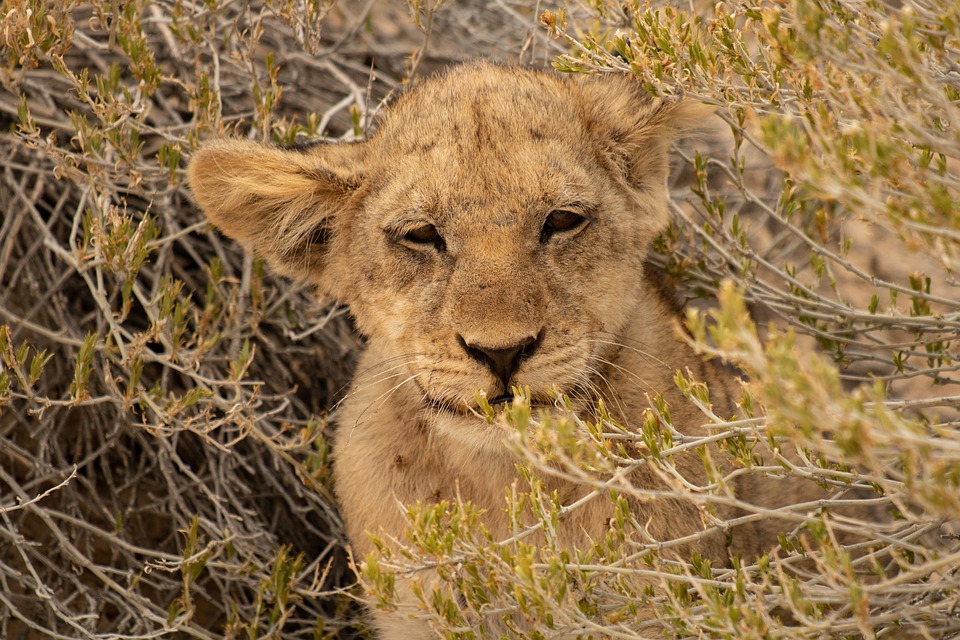 Die SPÖ Hollabrunn: Ein junges Team mit frischen Ideen für die Zukunft