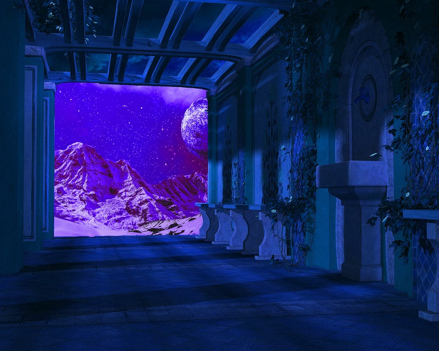 Die neue Naturium-App: Entdecken Sie das Europareservat am Inn