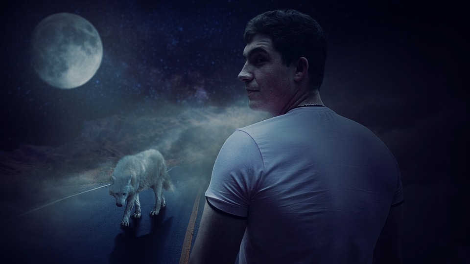 Digitale Plattform für Spittaler Vereine: Sichtbarkeit und Vernetzung stärken