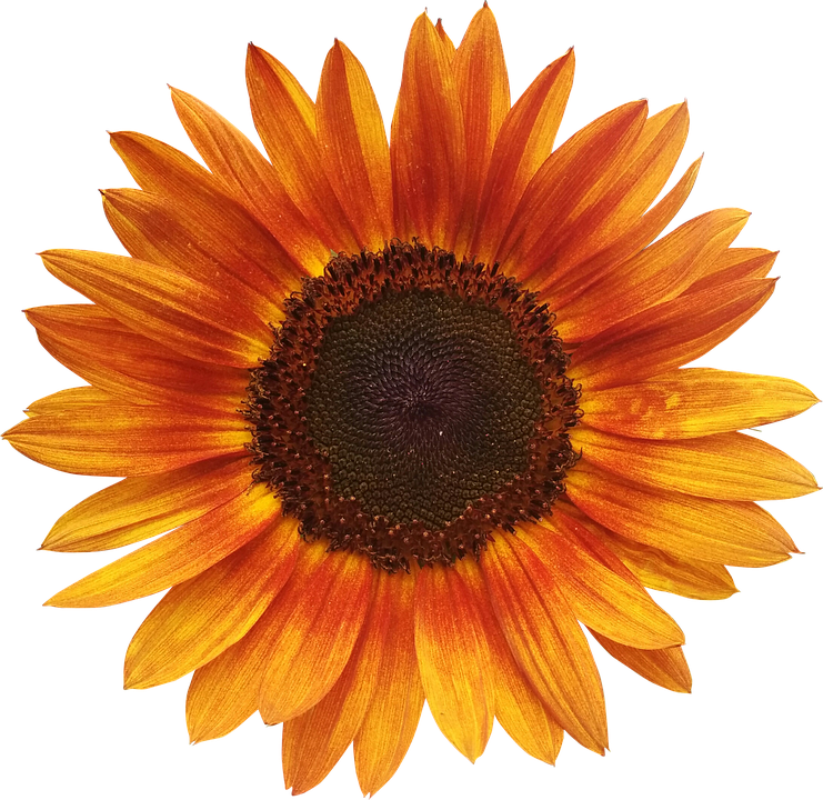 Dornauer im Kreuzfeuer: Isoliert im SPÖ-Klub und vor Entscheidung