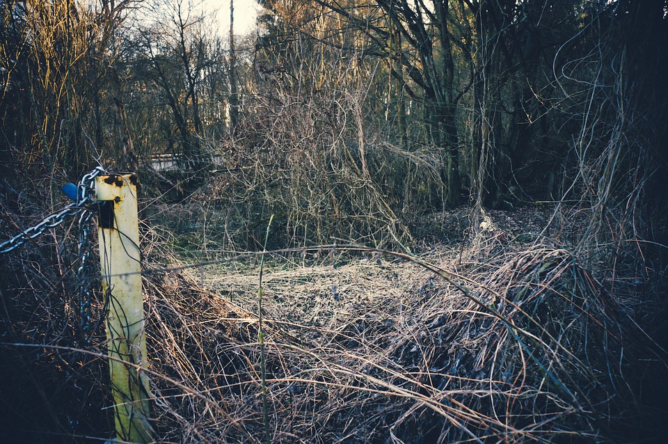 Drama in Wien-Donaustadt: Flammen und Schreie in Erdgeschosswohnung