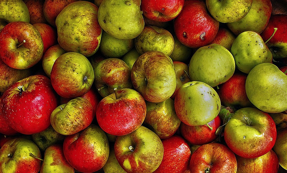 Dringlicher Appell: Hilfe für vermisste indigene Frauen auf Capitol Hill