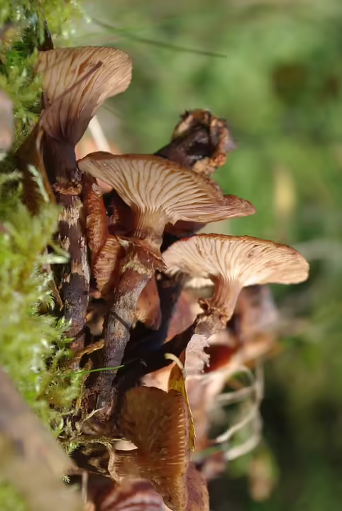 Drogenfund in Wien-Favoriten: Polizei entdeckt Suchtmittel im Pkw