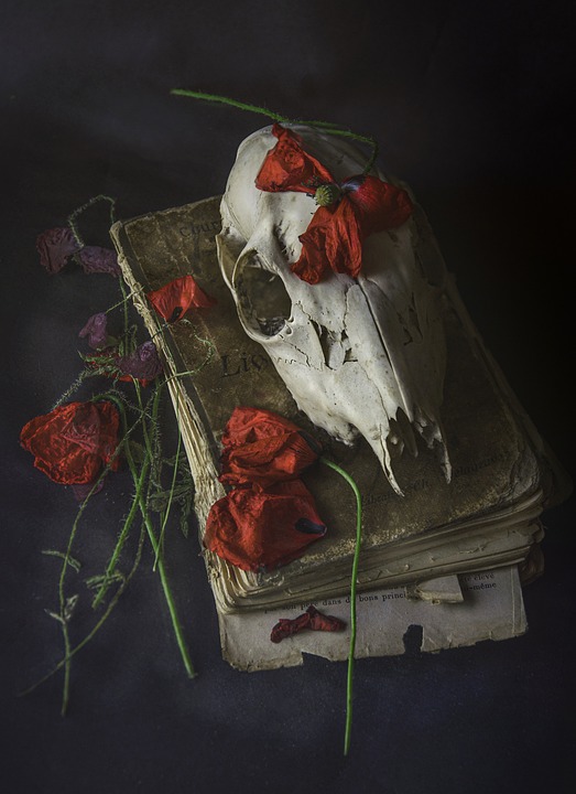 Ehemalige Knittelfeld Landjugend blickt zurück und gestaltet Zukunft neu