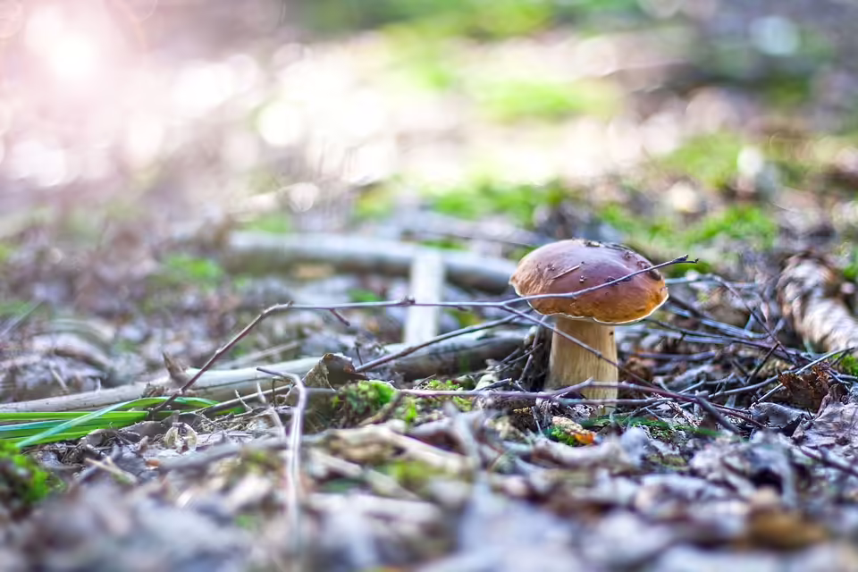 Ehrung für 100 Kursteilnahmen: Oberstarzt Heinz Hunzler ausgezeichnet