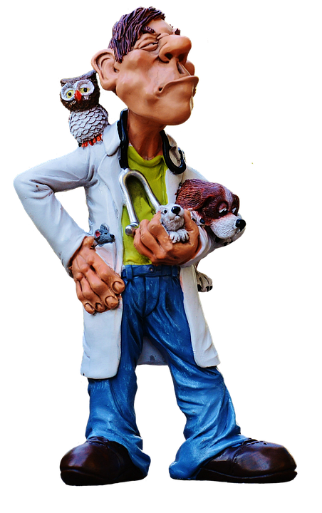 Ehrung für Ennstaler Tierärzte: Goldenes Diplom für Granig und Miklau