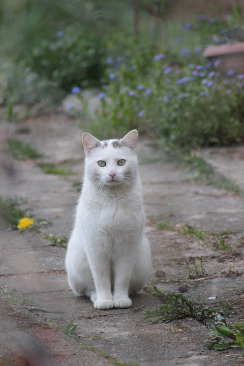Ein Blick hinter die Kulissen: Kultur im Löwen entdeckt Festspielhaus Bregenz