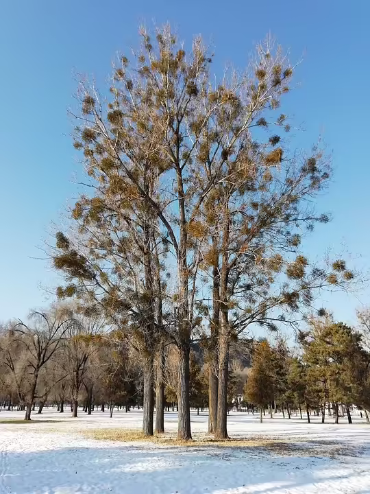 Ein Jahr Darmzentrum Reutte: Erfolgsgeschichte der Gesundheitsversorgung