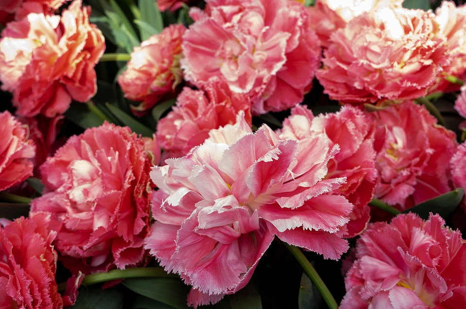 Ein Konzertabend voller harmonischer Klänge in Deutschkreutz