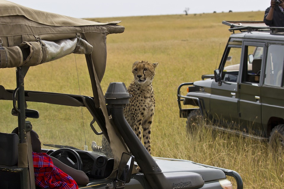 Ein unvergesslicher Tag:  Christmas Drift  für Kinder mit besonderen Bedürfnissen