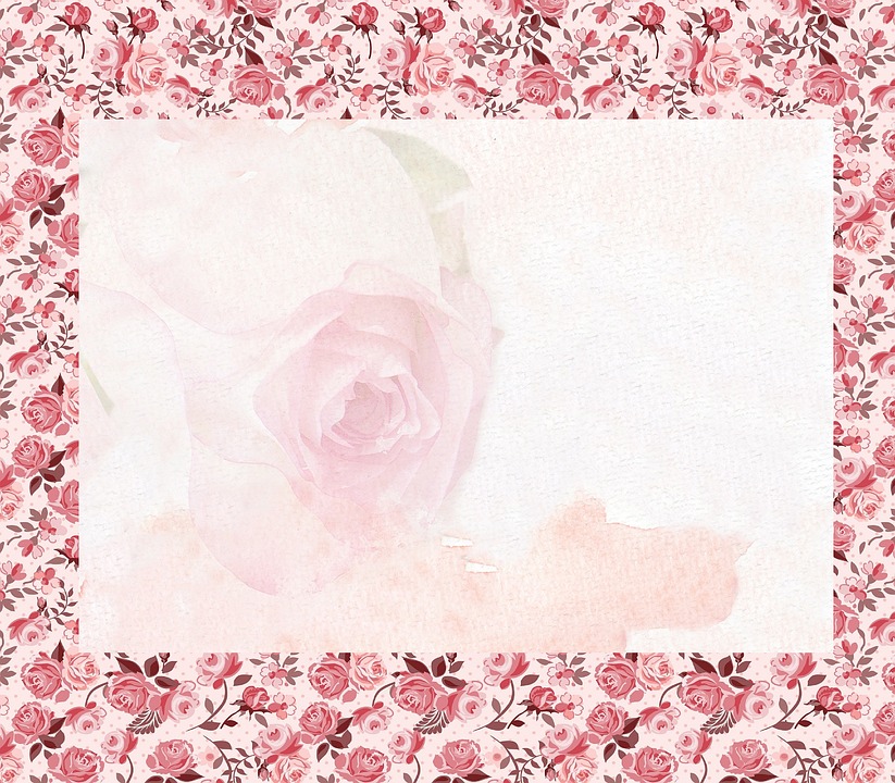 Einblicke in den Arbeitsalltag: Tag der offenen Tür bei Caritas Horn