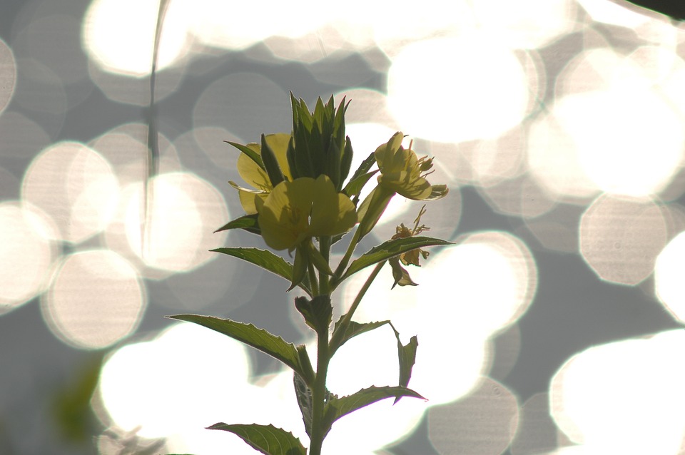 Einbruch in Villach: Mehrere Tausend Euro Schaden in Wohnhaus