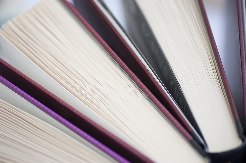 Eine literarische Reise mit Willibald Feinig in Bregenz