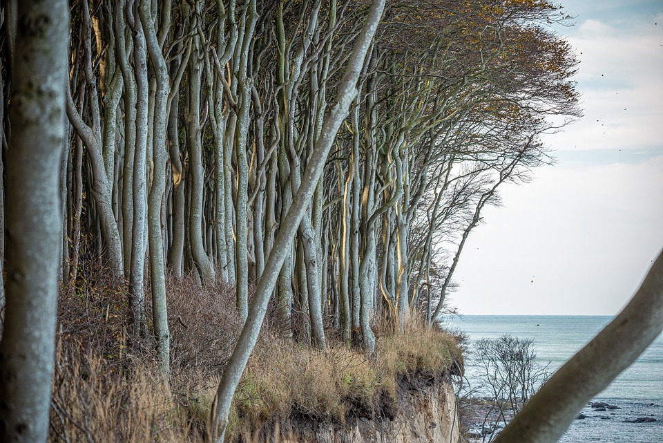 Einhauser Naturfreunde erkunden den Odenwald rund um Heidelberg