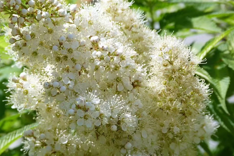 Einladung zu den Treffpunkten für Blinde und Sehschwache in Stockerau