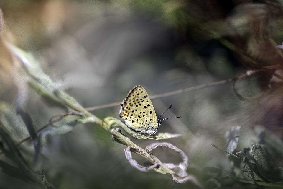 Einwegpfand ab 2025: Kleine Händler in Zwettl vor großen Herausforderungen