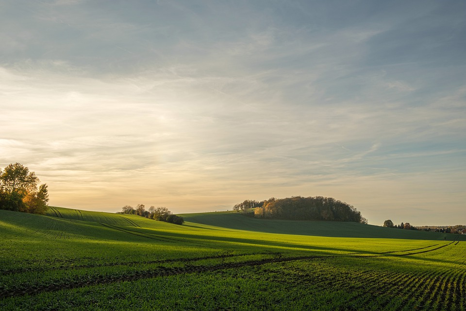Eislaufplatz in Waidhofen: Feierliche Eröffnung am 30. November!