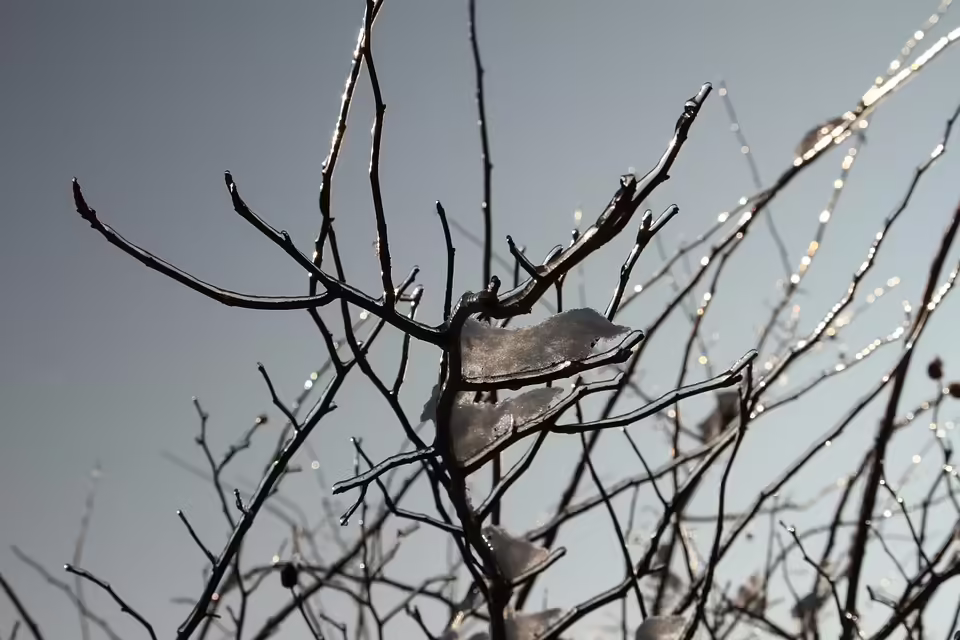 Eiszauber am Mozartplatz: Festliche Eröffnung des Christkindlmarkts