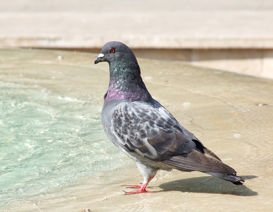 Elegante Nacht: HAK Perg MaturantInnen feiern stilvollen Ball 2024