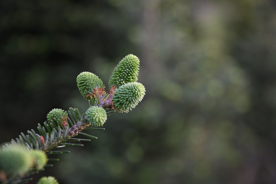 Elektro-Mountainbike aus Carport entwendet: Tipps zur Sicherheit