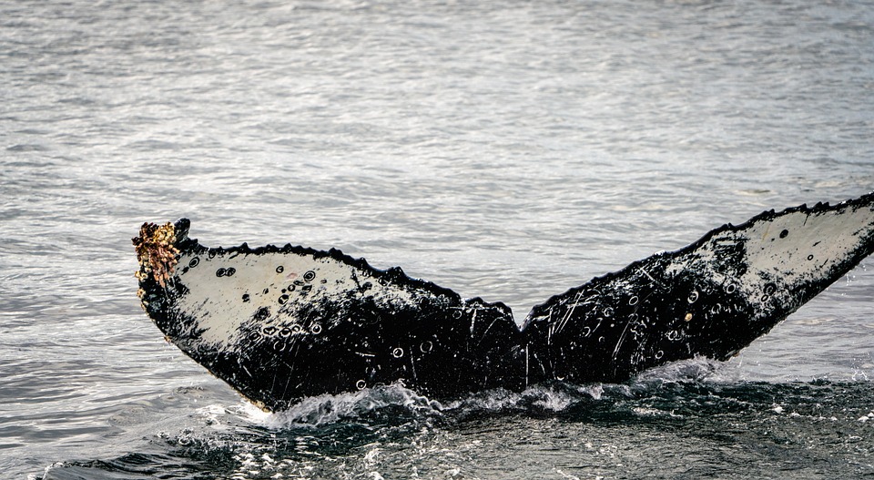 Elfjährige erleidet Verletzungen beim Mauer-Sprung in Pfronten