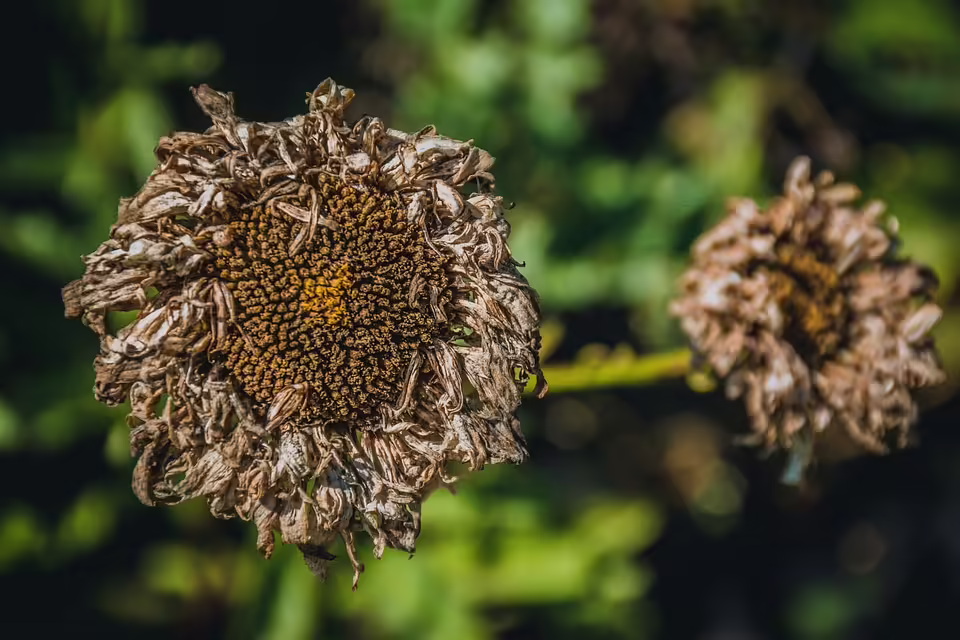 Ende einer Ära: Asylzentrum in Ossiach schließt bis Jahresende