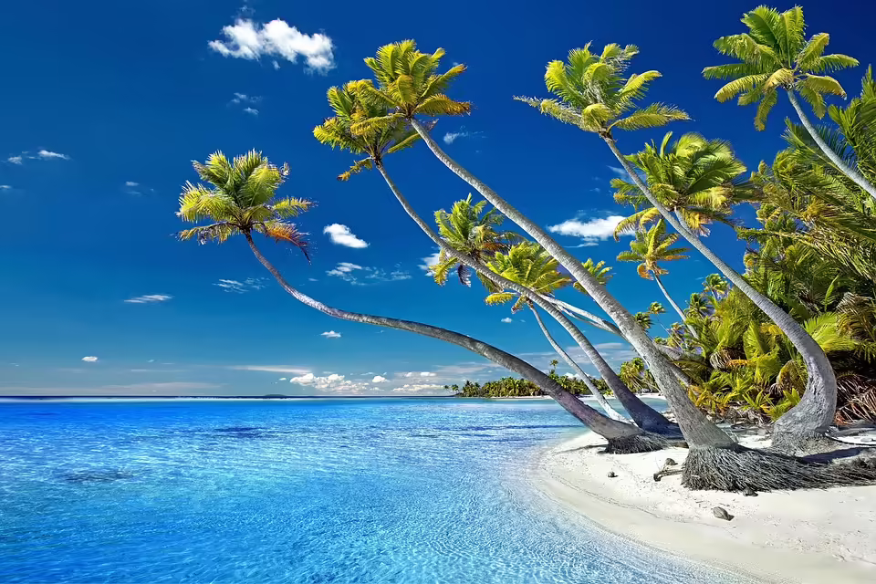 Entdecke die offene Advent-Weihnachtswerkstatt im Otto-Wagner-Areal!