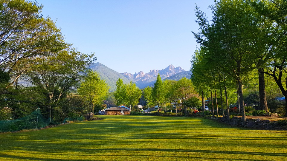 Entdecken Sie den monatlichen Monatsmarkt: Genuss &amp; Geschenke für alle!